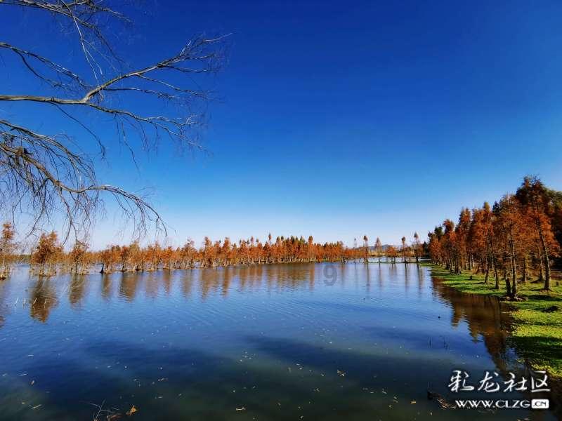 双鱼座是十二星座中，不折不扣的“恋爱脑”吗？这是天生的吗？游戏画面