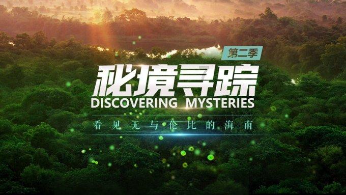 共享“棋”乐庆佳节