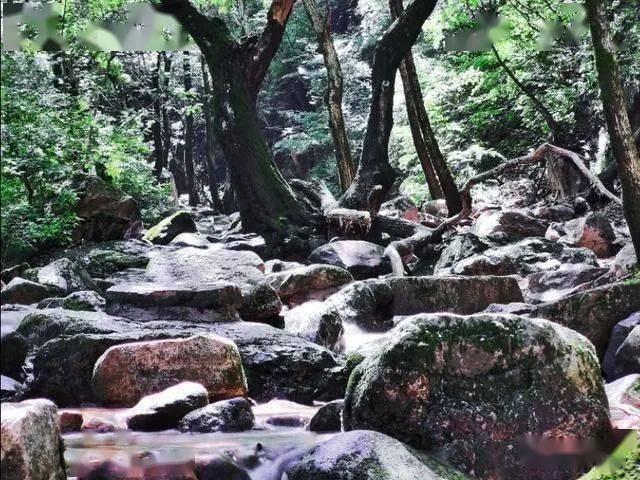 见习小魔女勇闯猪窝岛