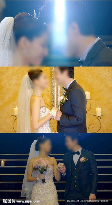 创作猫