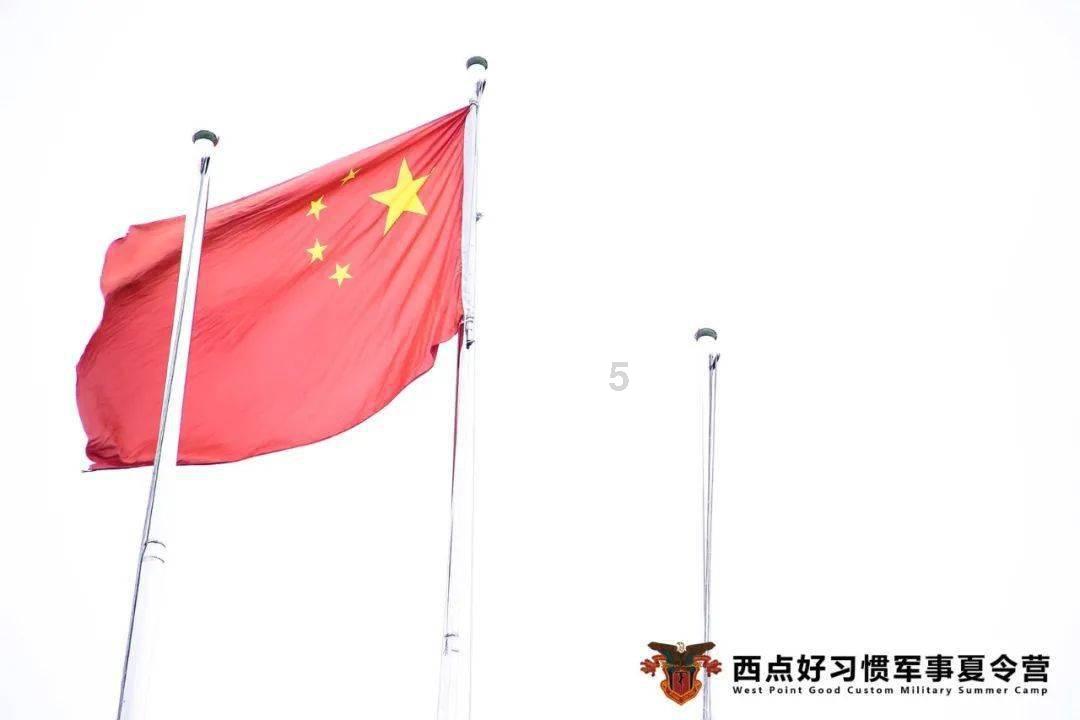 萌犬找不同